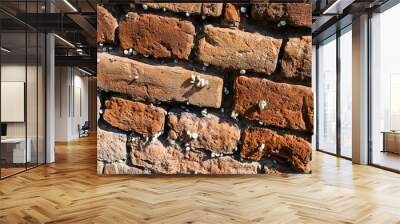 orange old brick wall with snails Wall mural