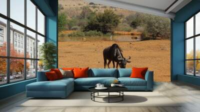 Wildebeest 2 Wall mural