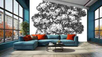 Tree hand drawn vector illustration realistic sketch Wall mural