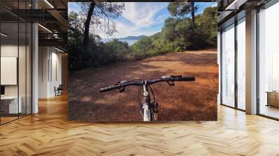 A mountain bike on a dirt trail surrounded by trees on an island near Istanbul. The sea and distant hills are visible in the background under a partly cloudy sky. Wall mural