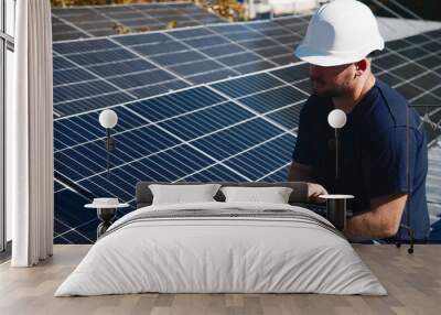 Close-up of a technician inspecting solar panels for quality and stability. Perfect for showcasing renewable energy maintenance and engineering precision. Wall mural