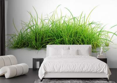 Green grass png on a white background. Wall mural