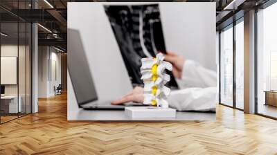 In a contemporary clinic, a physician reviews spine X-rays and anatomical models, noting observations on a laptop. Ideal for showcasing detailed diagnostic analysis and patient assessment. Wall mural