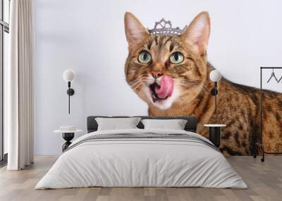 Muzzle of a cute tabby cat licking lips. Fashion beauty pretty tabby cat with a crown on the head. Brown domestic cat with diadem dressed like a queen. Selective focus Wall mural