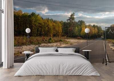 Asphalt road under electric wires in the forest. Autumn landscape with dramatic clouds. Wall mural