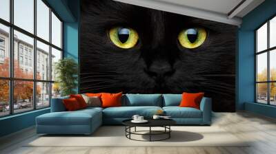 cute muzzle of a black cat Wall mural