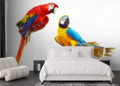 Two colorful red parrots macaw isolated on white Wall mural