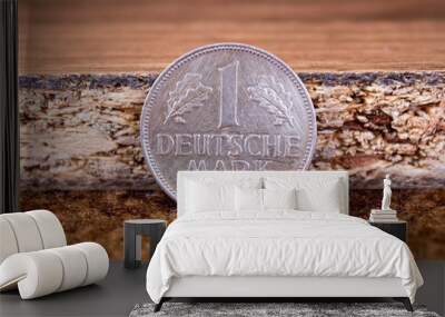 German national currency. One mark Wall mural