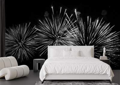 Celebration of the New Year fireworks. Colorful fireworks in the sky. Many bright fireworks Wall mural