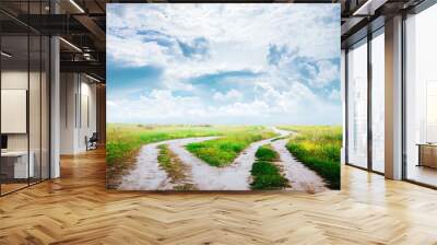 country road in the fields Wall mural