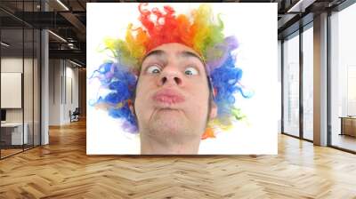 Clown Wig Wall mural