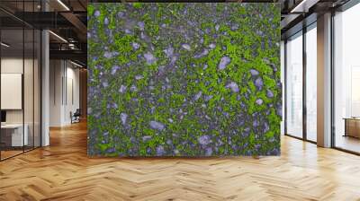 Old asphalt rock cement with moss Wall mural