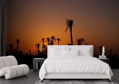 Sunset with a backdrop of palm trees in Marrakech, Morocco Wall mural