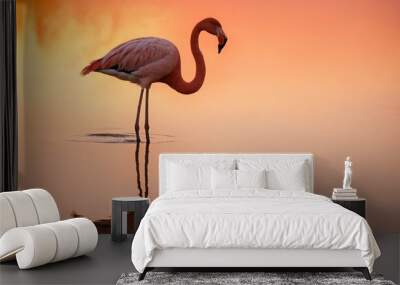 flamingo in water Wall mural