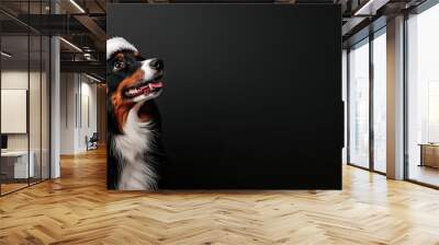 A cheerful dog wearing a Christmas hat, ready to celebrate the festive season, against a dark background. Christmas Background, Christmas Dog Wall mural