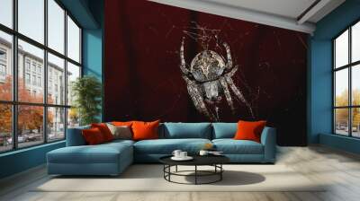 Interesting animals of Southern Kuriles: a spider 2 Wall mural