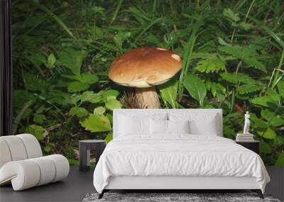 Mushrooms from moderate climate of Russia 3 Wall mural