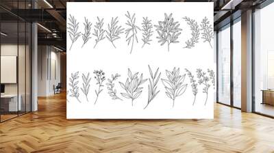 Leaves set, line art hand drawn branches. Meadow herbs, wild plants, twigs, botanical elements for design projects, wedding decoration. Vector illustration, black outline, isolated on white. Wall mural