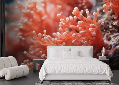 Beautiful coral in the sea. Close-up macro photo. Wall mural