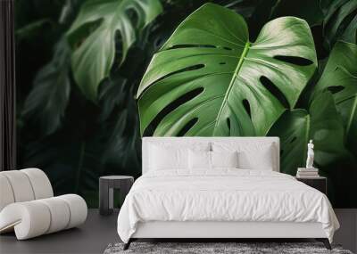 Closeup nature view of tropical green leaf Wall mural