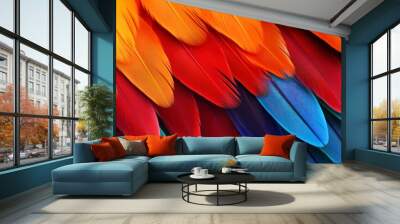 Macaw feathers background, Scarlet Macaw Wall mural