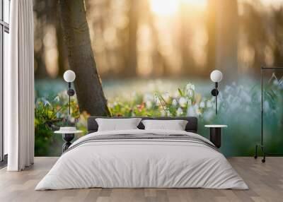 Forest full of fresh snowdrop flowers Wall mural