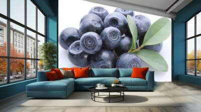  bilberry; Objects on white background Wall mural