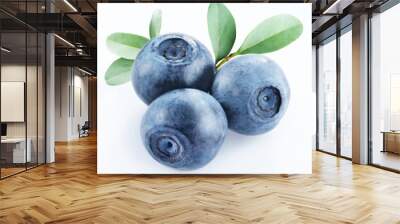 bilberry Wall mural