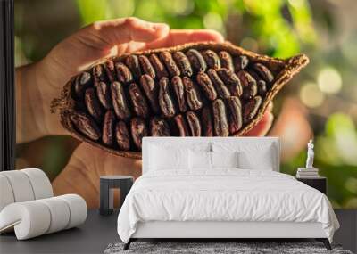 Cocoa pods with dry cocoa beans in the male hands. Nature background. Wall mural