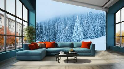 Fir trees covered with snow. Beautiful winter panorama. Wall mural