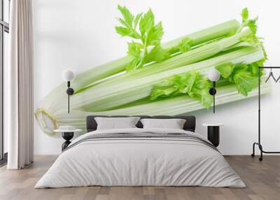 Fresh green leaf stalks of celery. Wall mural