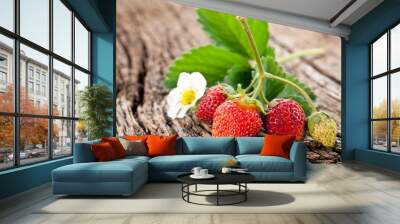 Strawberries with leaves Wall mural