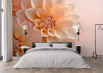 Elegant peach dahlia flowers on soft background Wall mural