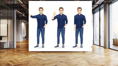 Set of young handsome man poses wearing blue shirt and jeans with different gestures showing something. Isolated vector illustration Wall mural