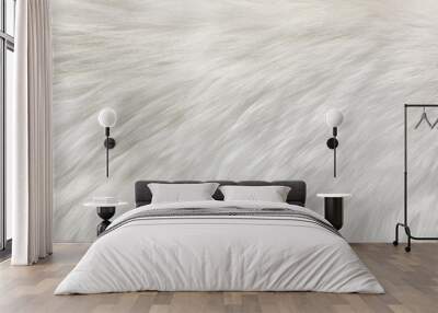 white natural fur background Wall mural