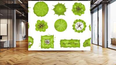 Trees, bushes and plants top view for architectural and landscape design. Kit of Plants, bushes and trees. Vector set of isolated Elements for design projects. Green spaces. Graphic solated on white. Wall mural