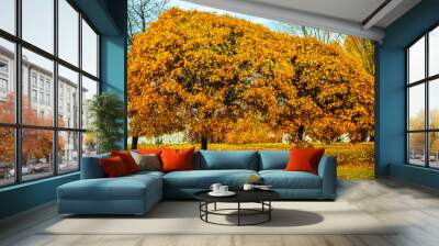 Beautiful magic landscape with two autumn trees and falling yellow leaves in park Wall mural