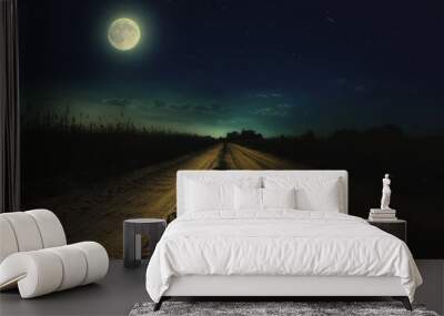 Beautiful magic night sky with fullmoon and stars and  road receding into the distance with  green grass Wall mural