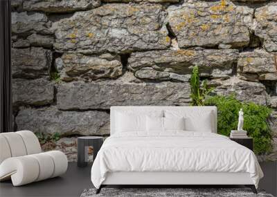 Stone Wall and Fresh Leaves Wall mural