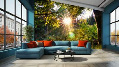 sun rays in the forest Wall mural