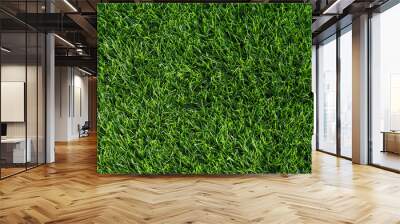 Artificial green grass texture background top view. Wall mural