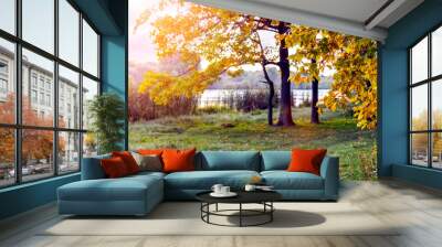 Autumn forest with colorful trees by the river in sunny weather Wall mural