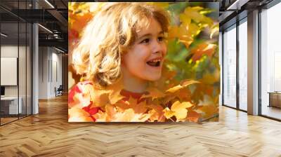 Child outdoor portrait in red and yellow leaves in an autumn park. Autumn and mood. Little child boy in autumn orange leaves, outdoor. Adorable toddler boy portrait on beautiful autumn day. Wall mural