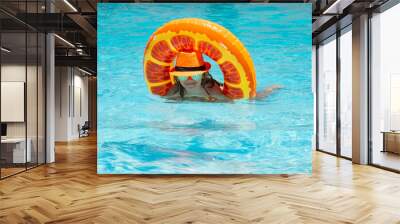 Child swimming on floating ring in pool. Kid summer portrait. Wall mural