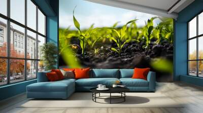 Close up seeding maize plant, Green young corn maize plants growing from the soil. Agricultural scene with corn's sprouts in earth closeup. Wall mural