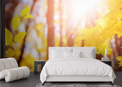 Golden autumn in the forest. Yellow leaves on trees in the forest in sunny weather Wall mural