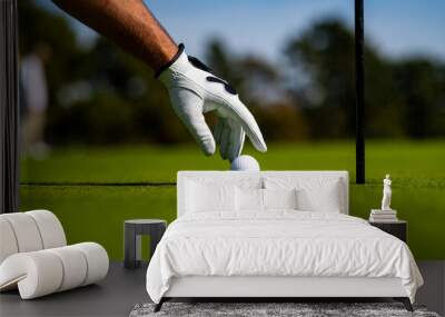 Hand hold golf ball. Golfer man with golf glove. Male hand with golf glove. Wall mural