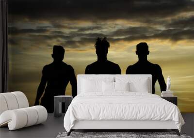 Handsome muscular men in sunset Wall mural