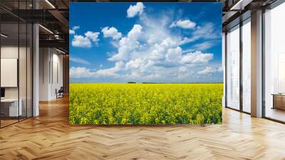 flowering canola or rapeseed field Wall mural