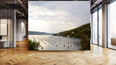 Oyster farm in sea Wall mural